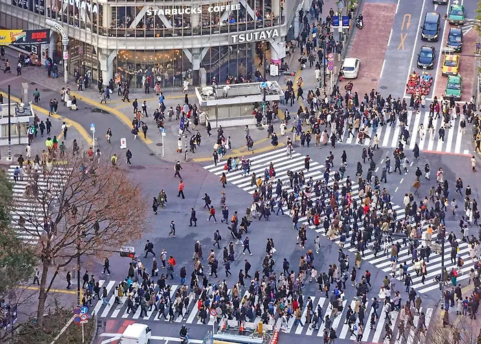 Ginza Creston