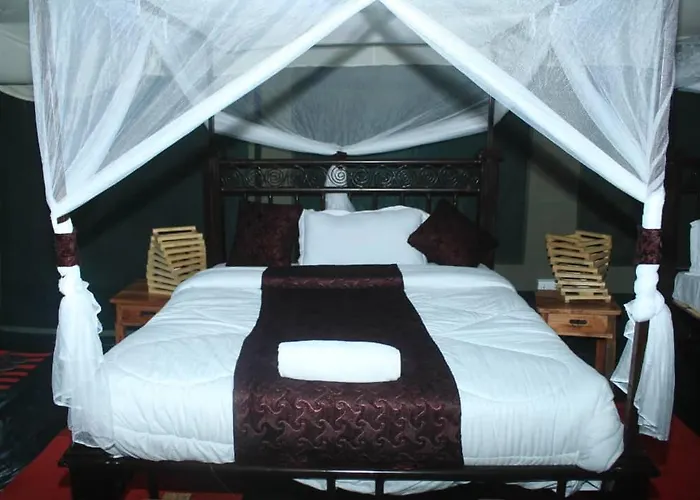Robin Safari Camp Serengeti