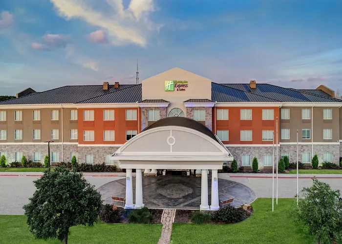 Holiday Inn Express Hotel & Suites Clute-Lake Jackson By Ihg