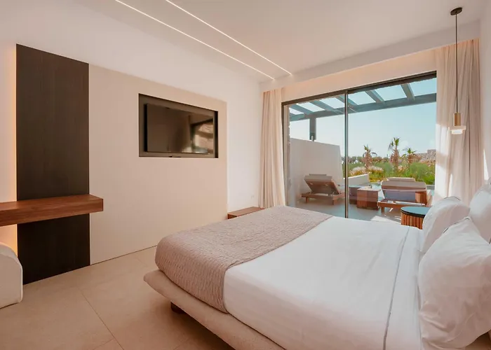 Muse Οf Mykonos Luxury Suites Plintri