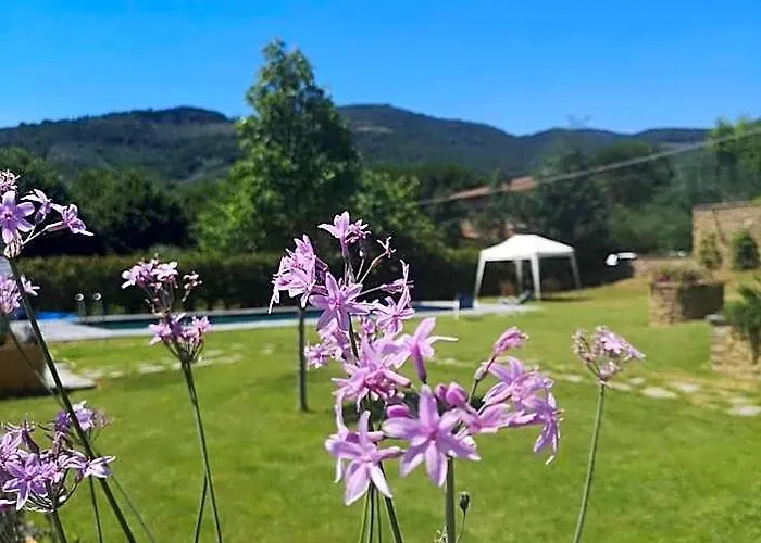 Alba Morus Bed e Breakfast sentiti a casa nel cuore della Toscana