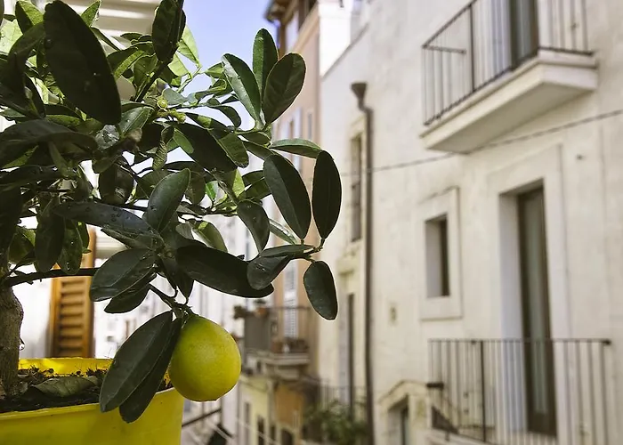 Bed and Breakfast Dimora Nonna Rosa Conversano